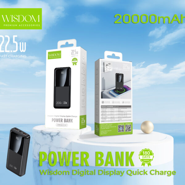 WISDOM P-40 POWER BANK